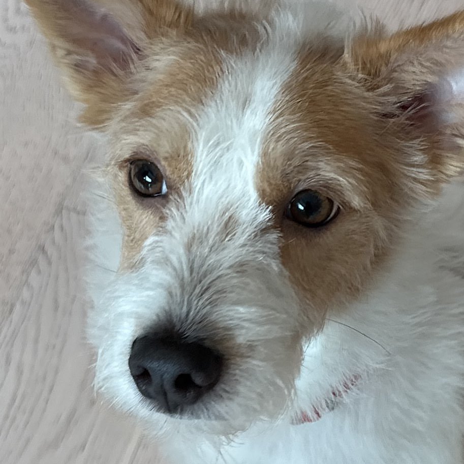 Photo by HANK on May 04, 2023.