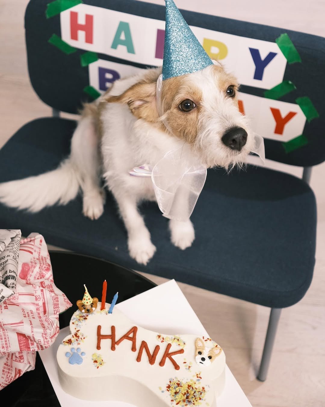hank_says_hank 게시물 이미지: 행피벌스데이 🥳🫧🫶🏼💕