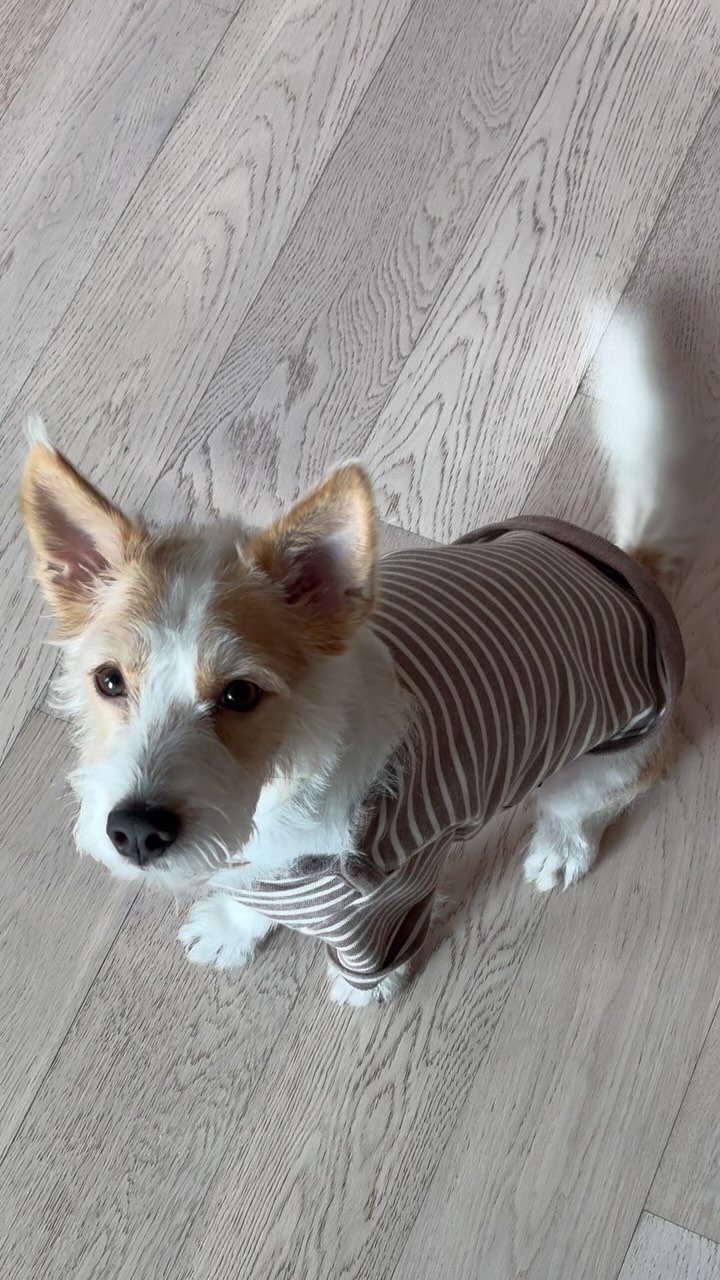 hank_says_hank 게시물 이미지: 간식!