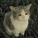 imnotningning 프로필 사진