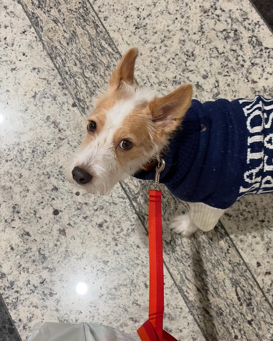 hank_says_hank 게시물 이미지: did you miss me?