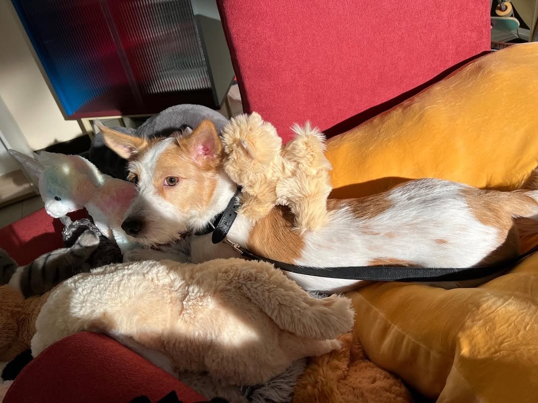 Photo by HANK on March 23, 2023.