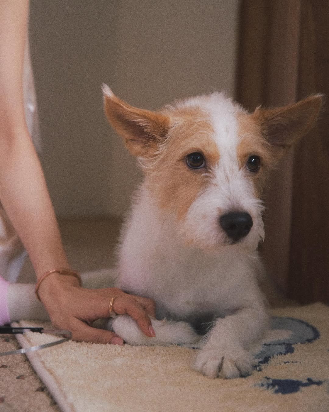 Photo by HANK on May 05, 2024.