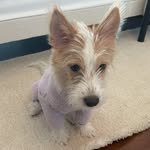 hank_says_hank 인스타그램 프로필 사진