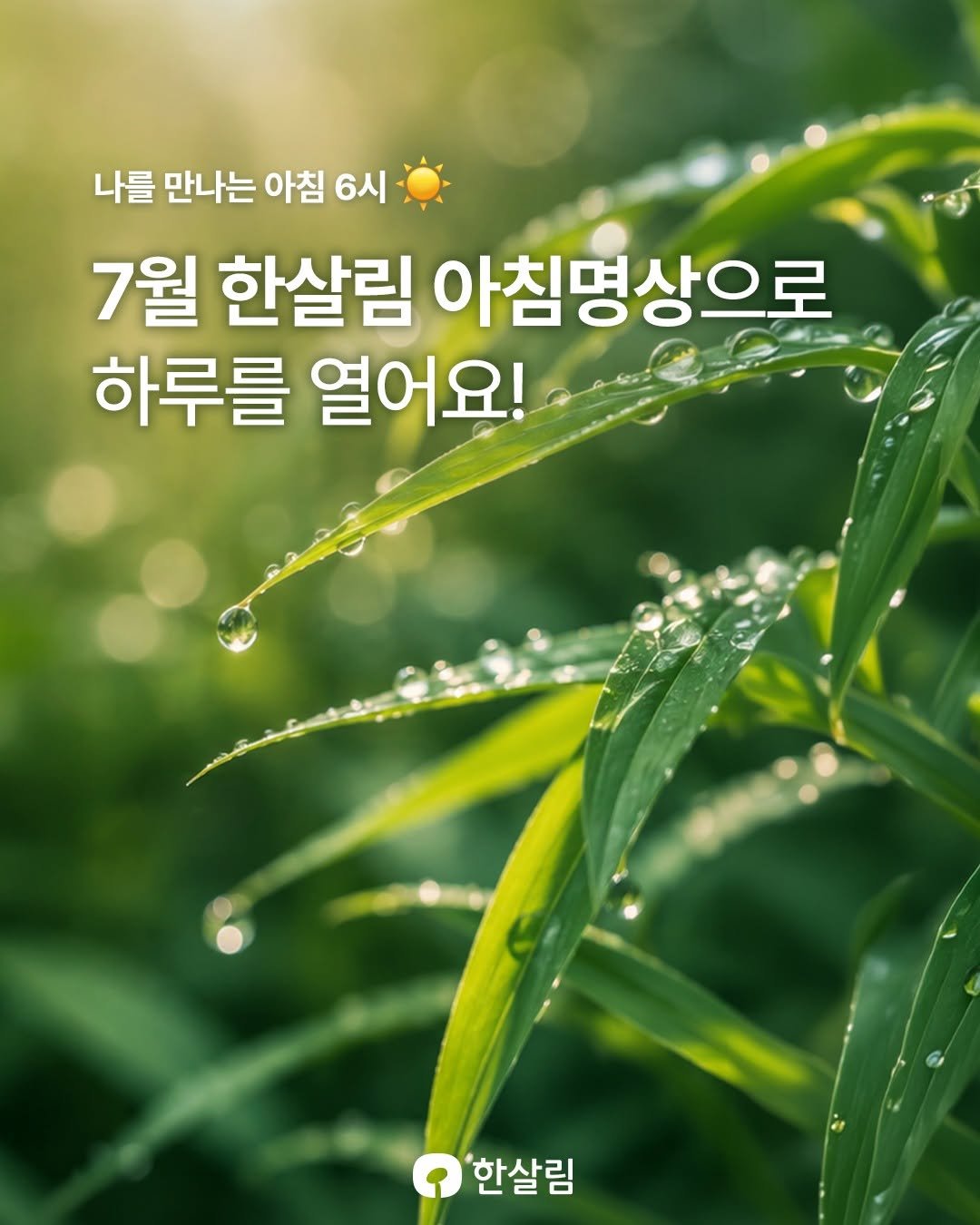 hansalim_official 게시물 이미지: ☀️쉽게 지치는 여름날, 
나를 만나는 아침 6시 ‘한살림 아침명상’으로 하루를...