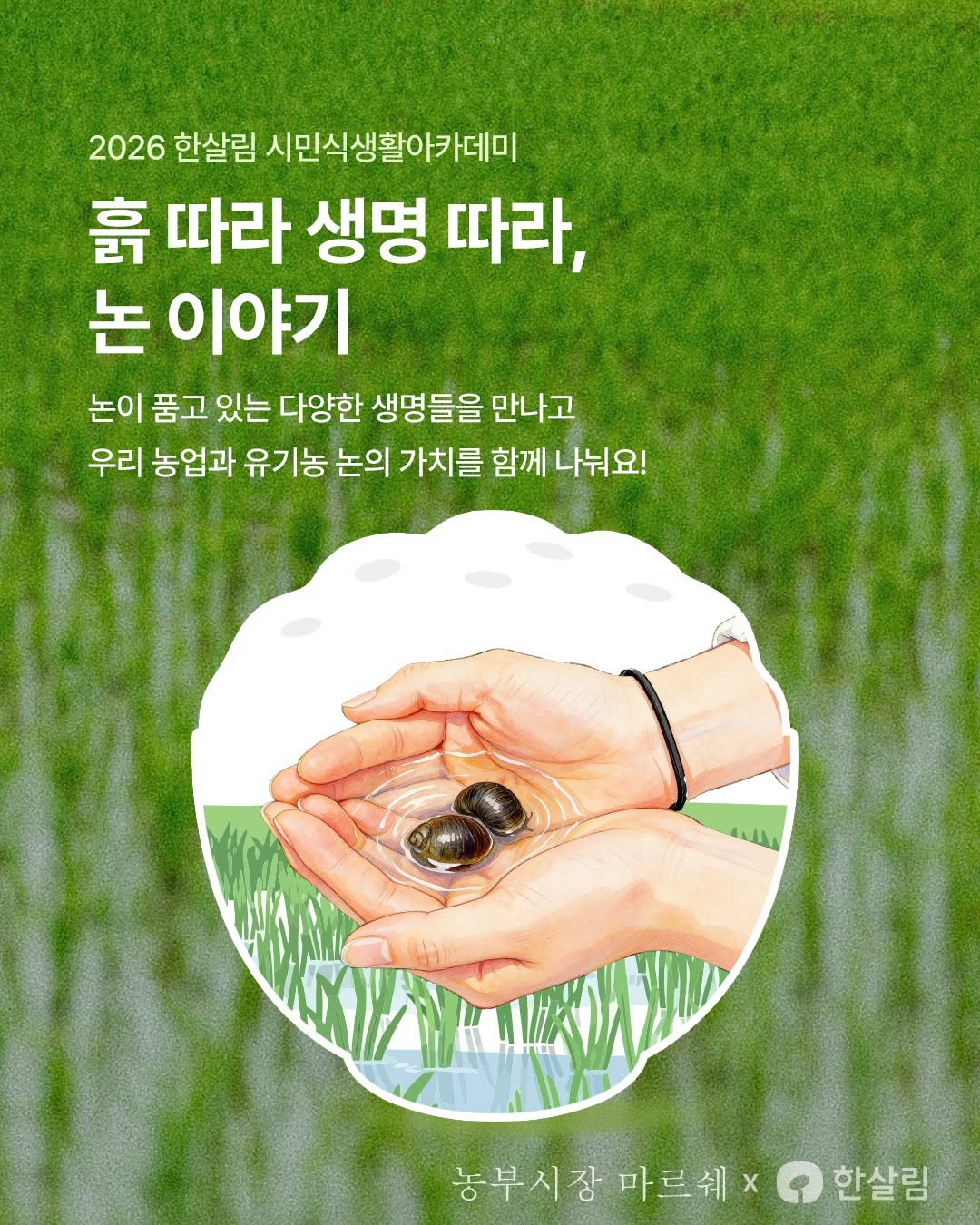 hansalim_official 게시물 이미지: 🌾 2026 한살림 시민식생활아카데미

<흙 따라 생명 따라, 논 이야기>
우리가...