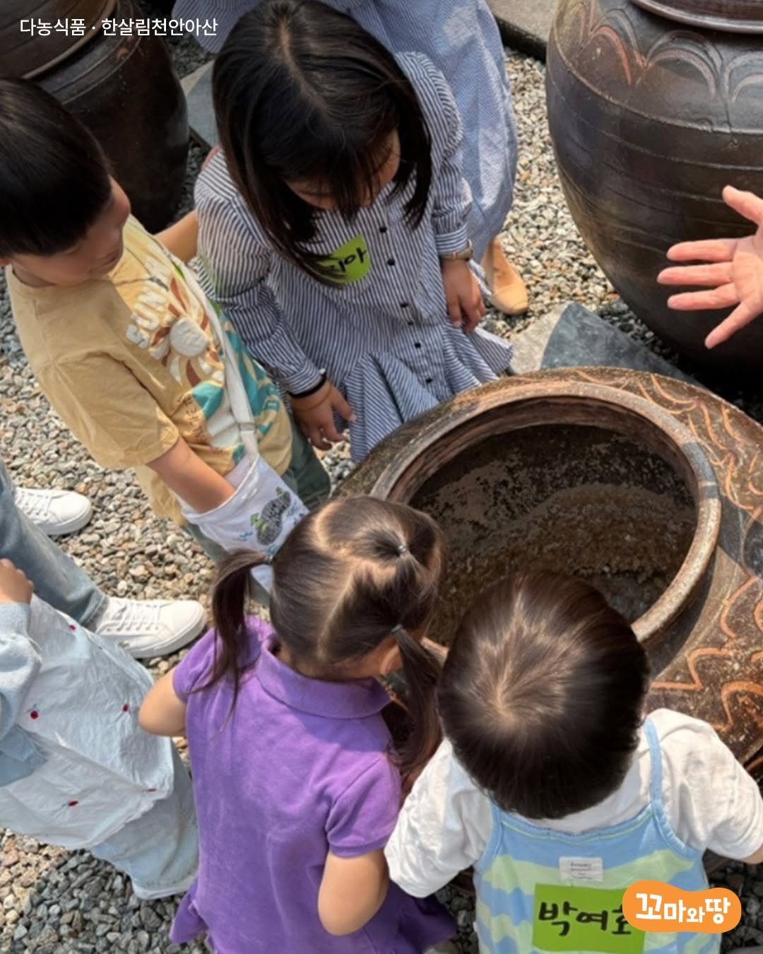 Photo by 한살림 on July 21, 2025. May be an image of 4 people, child, bucket, pot, flower pot and text that says '다농식품 한살림천안아산 и SUNI 박여호꼬마와땅 박여호 HA 꼬마와땅'.