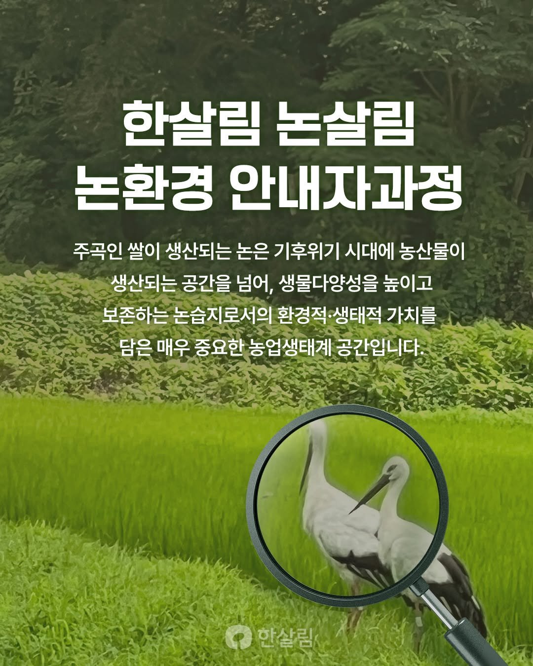 Photo by 한살림 on April 17, 2026. May be an image of spoonbill, outdoors and text that says '한살림 논살림 논환경 안내자과정 주곡인 쌀이 생산되는 논은 기후위기 시대에 농산물이 생산되는 공간을 넘어, 생물다양성을 높이고 보존하는 논습지로서의 환경적·생태적 가치를 담은 매우 중요한 농업생태계 공간입니다. 한살림'.