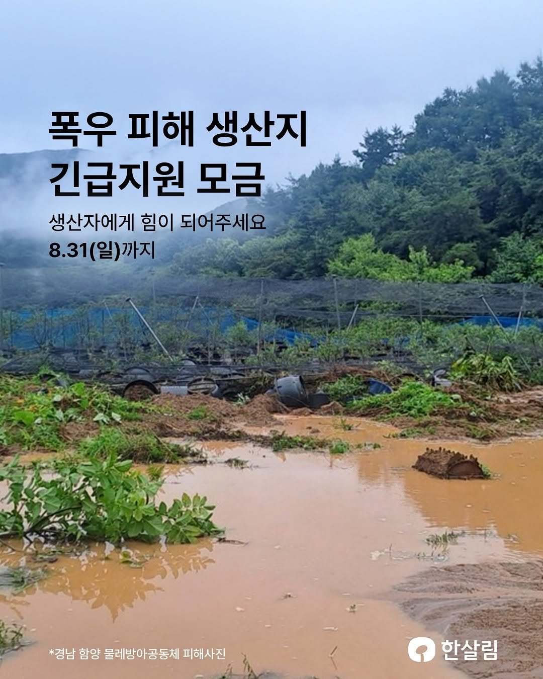 Photo by 한살림 on July 29, 2025. May be an image of outdoors and text that says '폭우 피해 생산지 긴급지원 모금 생산자에게 힘이 되어주세요 8.31(일)까지 *경남 경남합양물레방아공동체피해사진 함양 물레방아공동체 피해사진 한살림'.