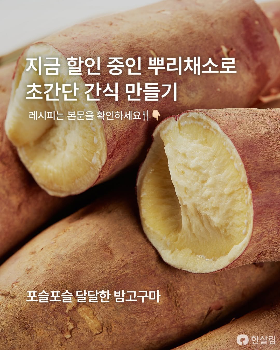 hansalim_official 게시물 이미지: 5월 31일까지 매장에서 할인 중!
밤고구마🍠 당근🥕 20%
알비트🫜 15%

[...