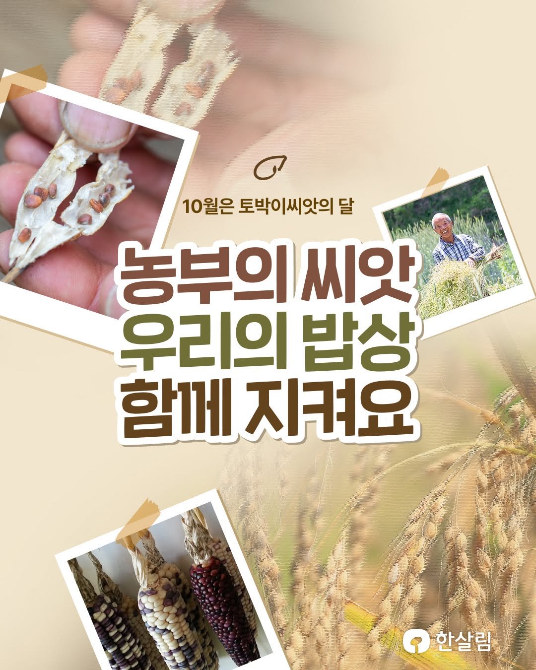 Photo by 한살림 on October 13, 2025. May be an image of text that says '10월은 토박이씨앗의 달 አስሐገች 농부의 씨앗 우리의 밥상 함께지켜요 함께 지켜요 ና 한살림'.