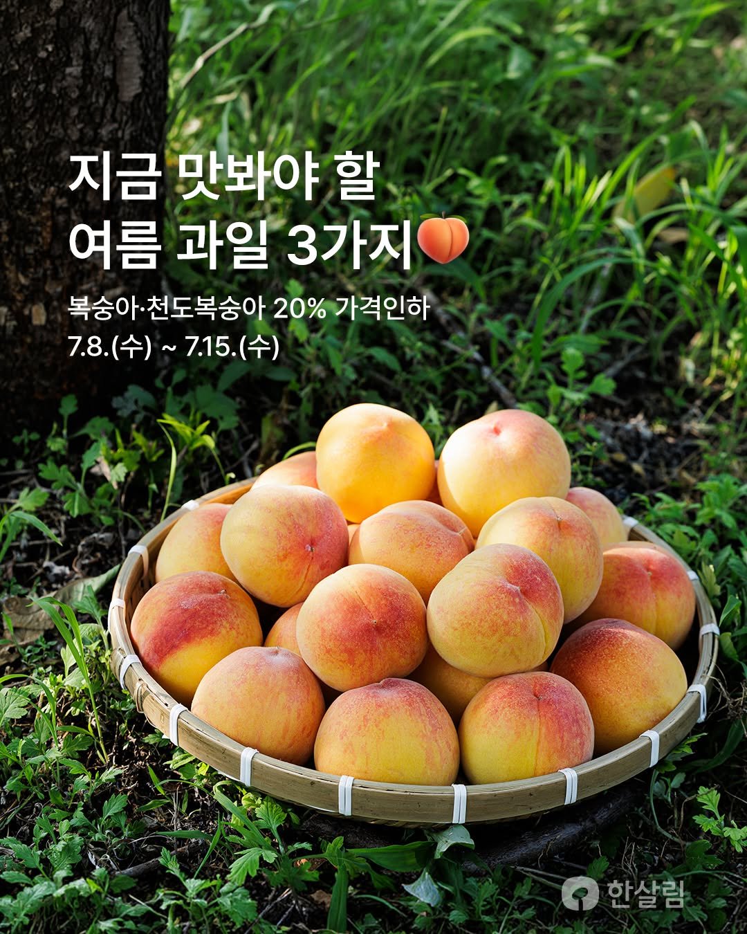 hansalim_official 게시물 이미지: 후텁지근한 더위가 시작됐죠?☀️ 

더운 날엔 제철 과일만 한 간식이 없죠....