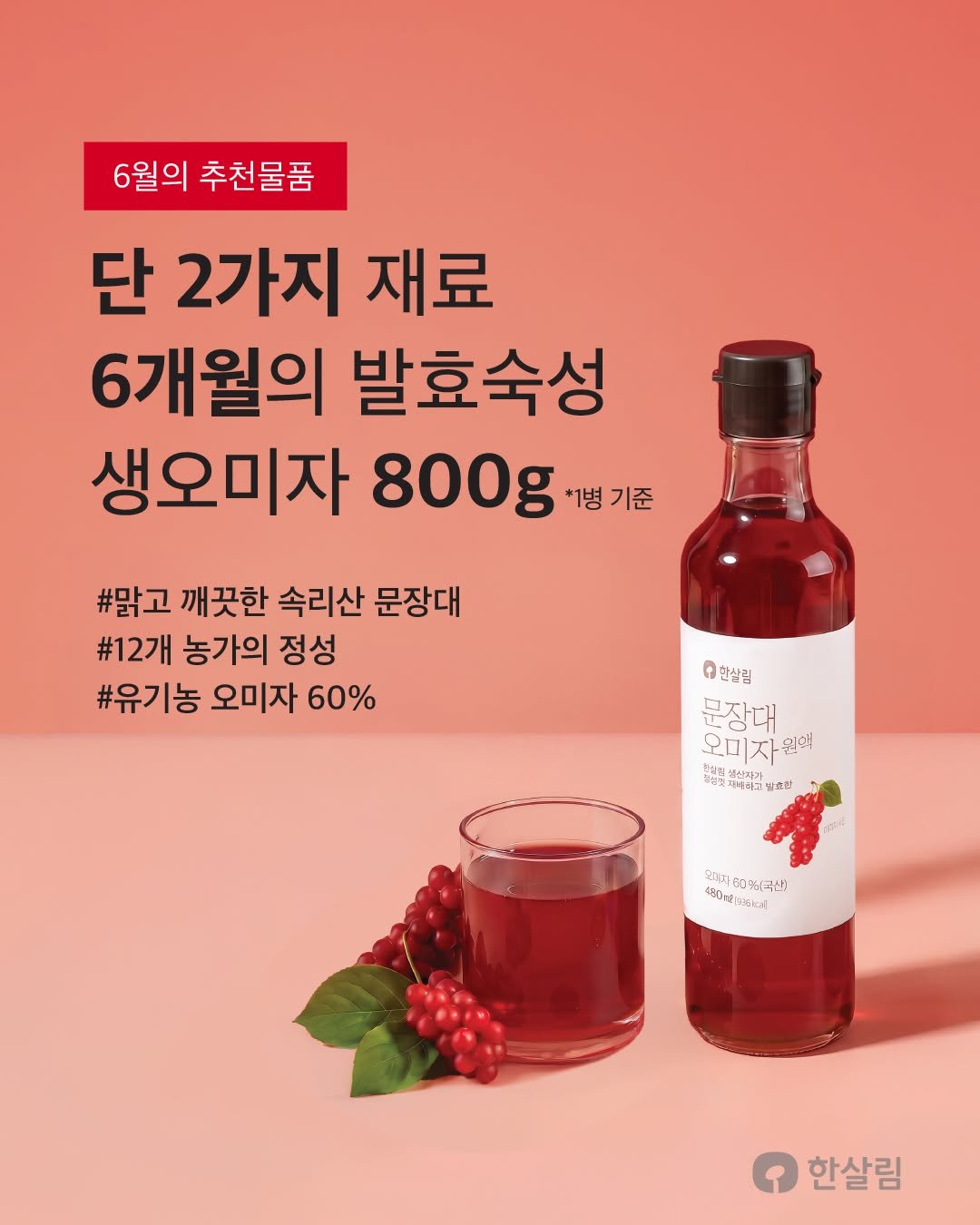 hansalim_official 게시물 이미지: 이달의 추천 | 문장대오미자원액🍒

이상고온으로 해마다 재배가 어려워지지만
속리산...