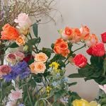 mystar_rbw 프로필 사진