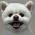 moon98.98 프로필 사진