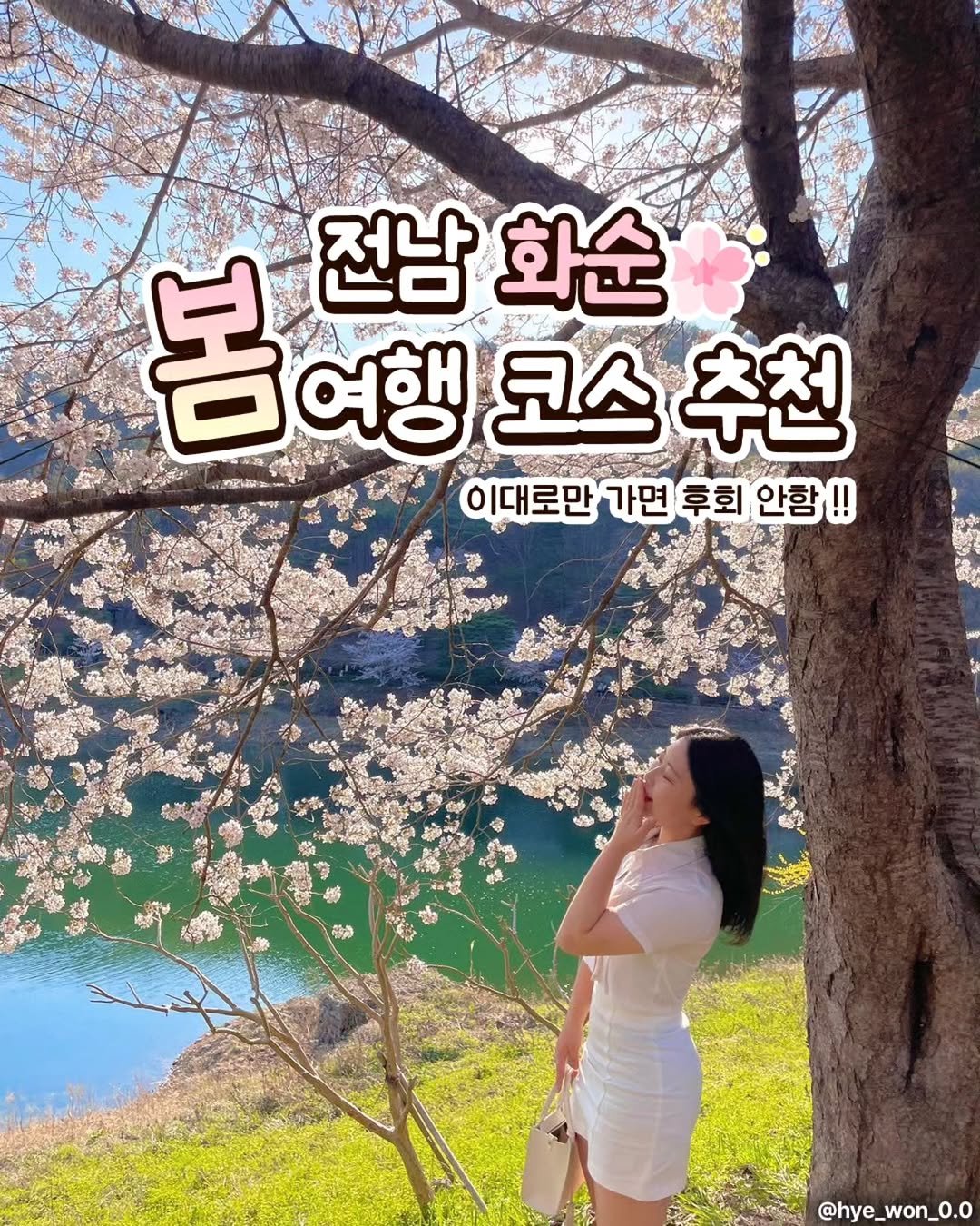 hansomjin1 게시물 이미지: #화순군x제작지원

낮부터 밤까지 영롱한 화순의 봄🌸
꽃피는 4월 꼭 가야하는 필수...