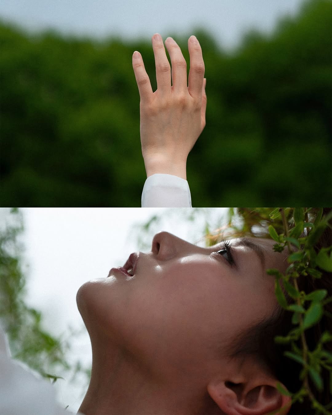 야외스냅