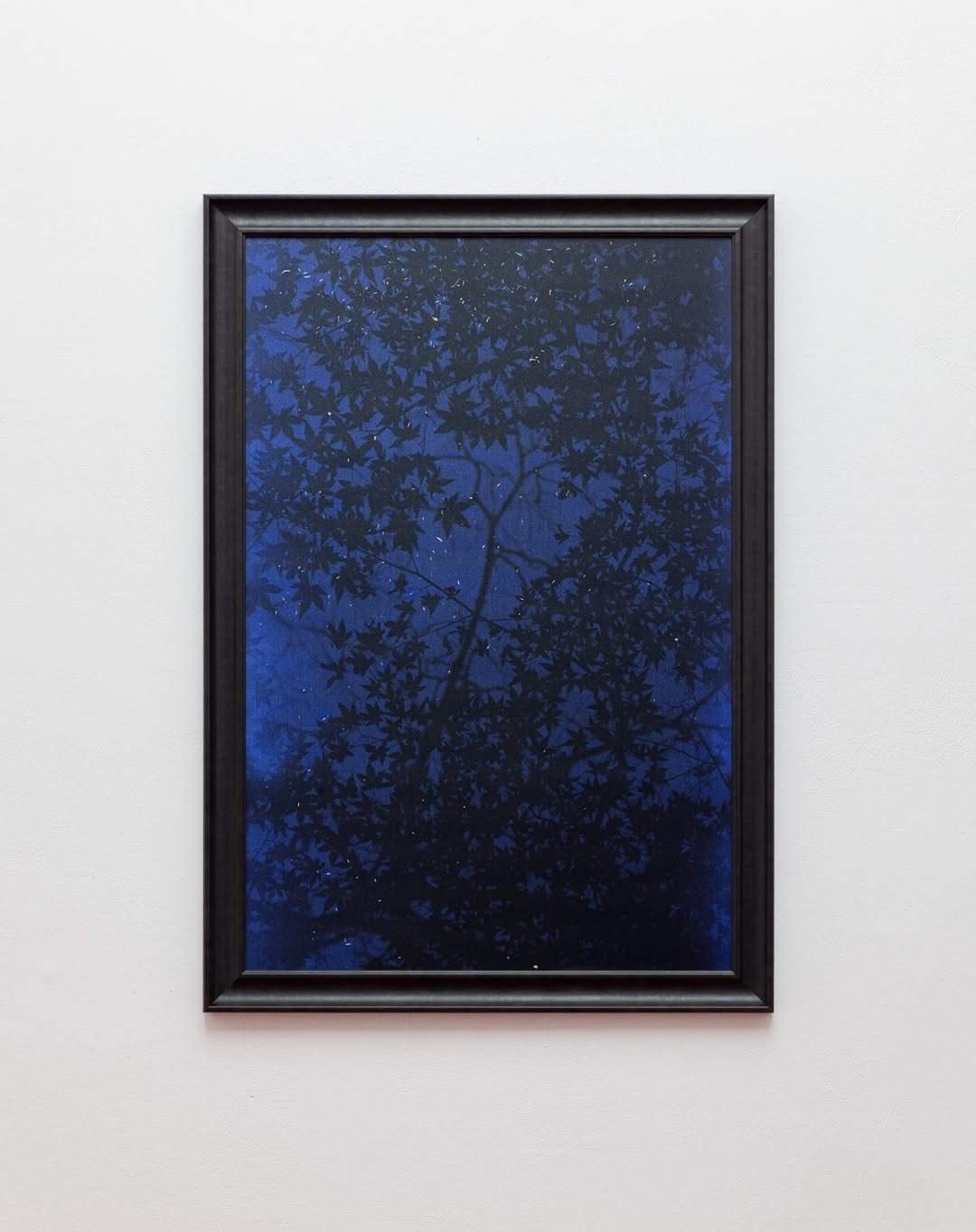 Photo by 합정지구 Hapjungjigu on December 17, 2024.