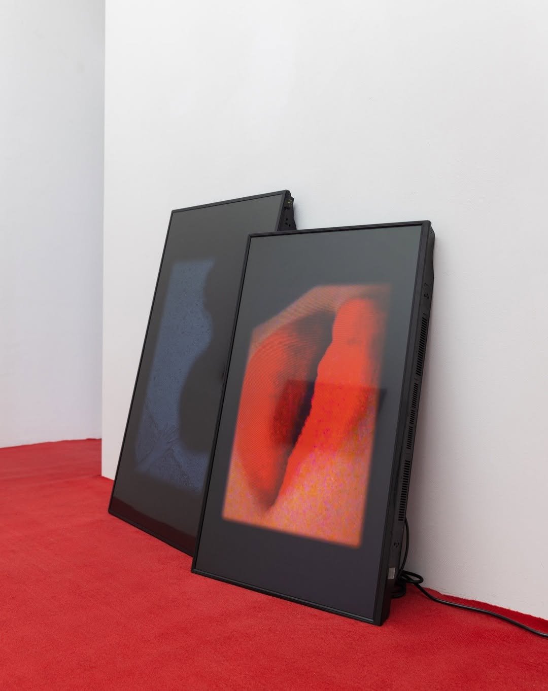 Photo shared by 합정지구 Hapjungjigu on December 12, 2024 tagging @swallowyeon, and @yujakim.