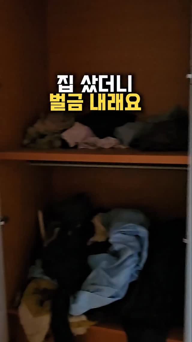 happy___tech 게시물 이미지: 집 샀더니 벌금 내라고요!?

자금조달계획서 얼마나 알고 계신가요?!
더 까다로워...