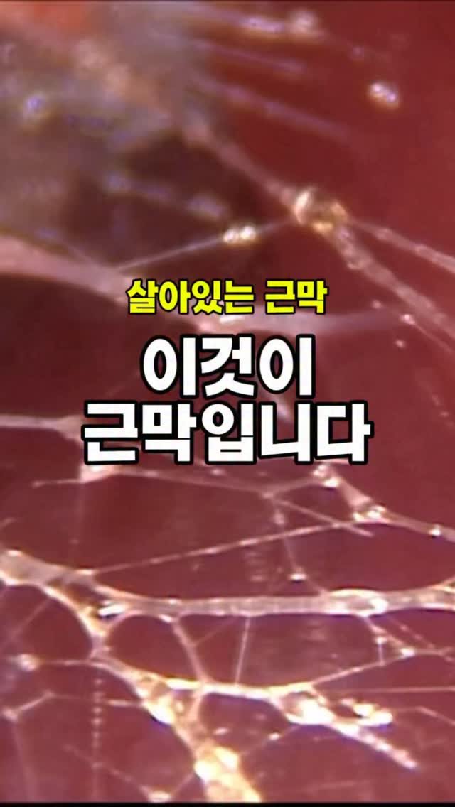 happy_body_jogak 게시물 이미지: 📌근막이 무너지면, 몸 전체가 무너집니다

오늘 영상에서 보여드린 신비로운 조직은...