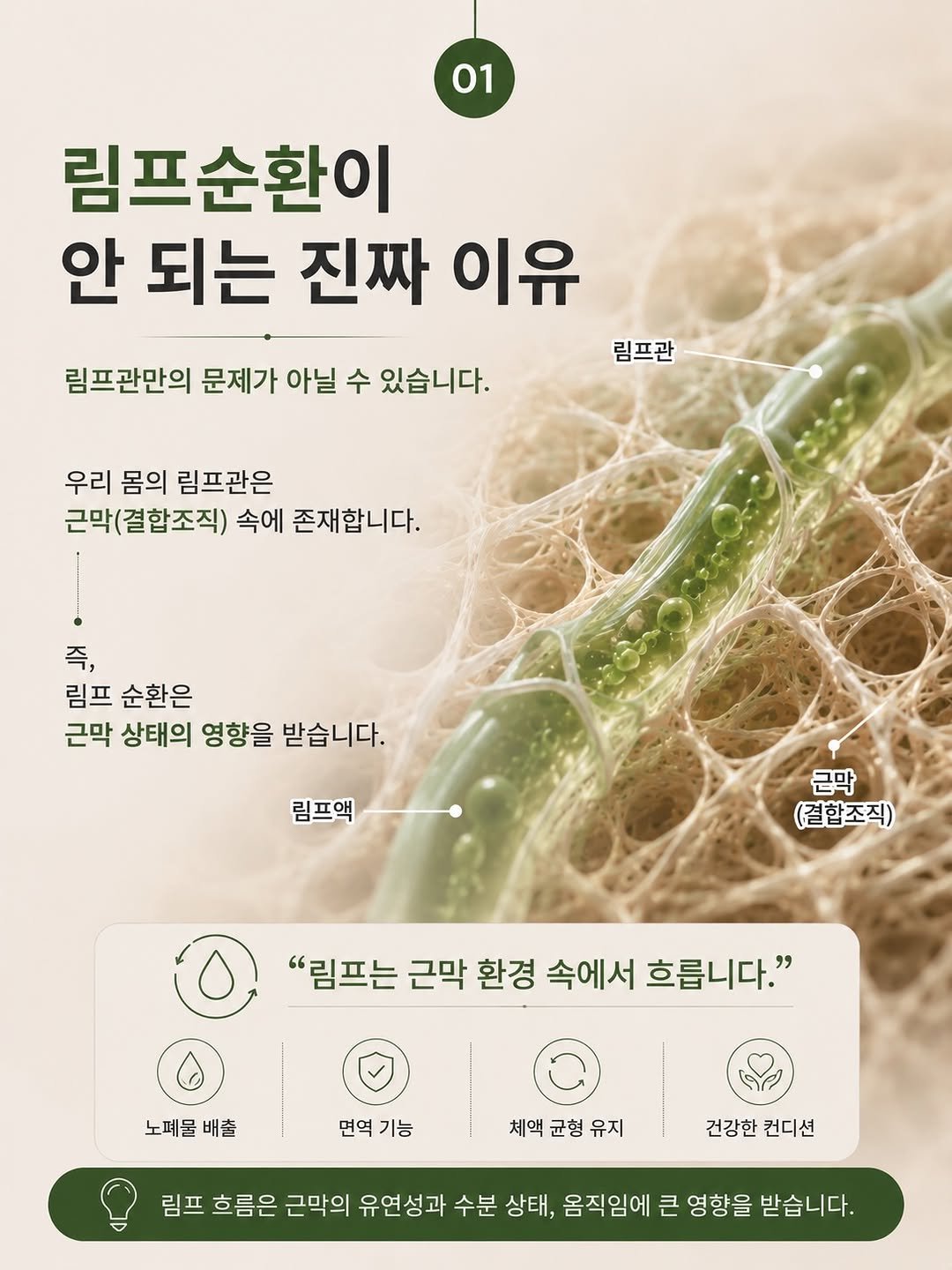 happy_body_jogak 게시물 이미지: 📌림프순환? 근막이 풀리면 저절로 열립니다

진짜 림프순환이 되었을 때 그 가벼움을...