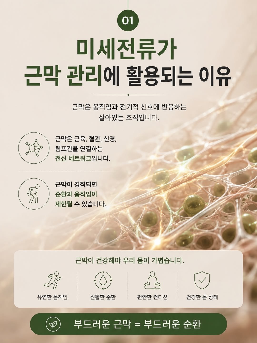 happy_body_jogak 게시물 이미지: 📌미세전류가 근막관리에 활용되는 이유

미세전류(Microcurrent)는 인체에...