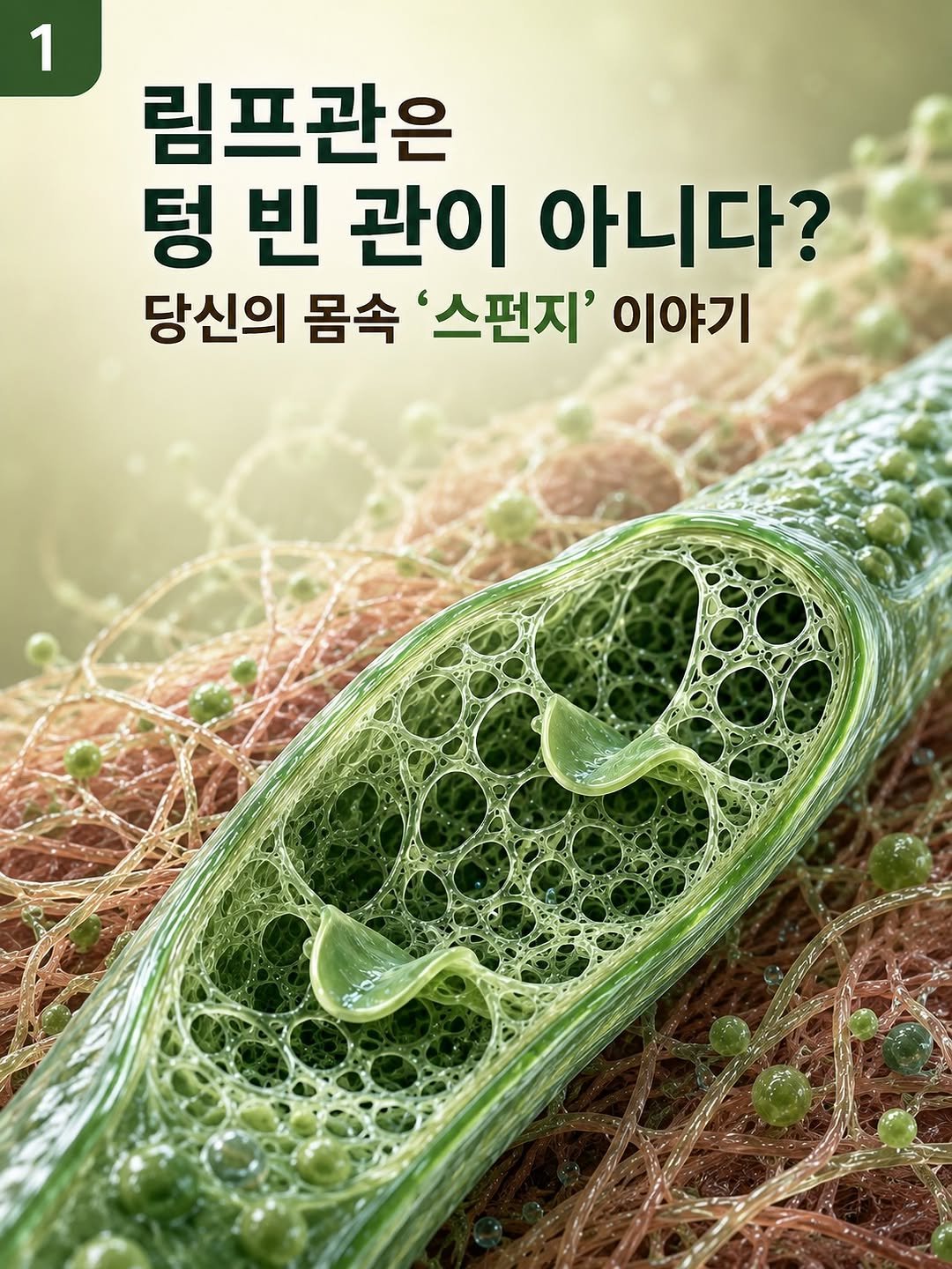 happy_body_jogak 게시물 이미지: 📌림프는 강하게 문지른다고 절대 열리지 않습니다🚫

림프가 흐르는 환경을 방해하는...