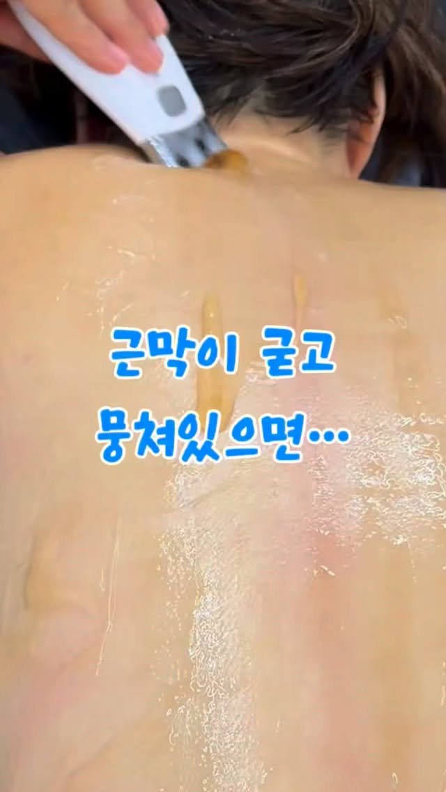 happy_body_jogak 게시물 이미지: ❗️’근막‘을 풀면 대사가 바뀝니다 ⚡️

좋은 영양을 100% 흡수하는 몸을...