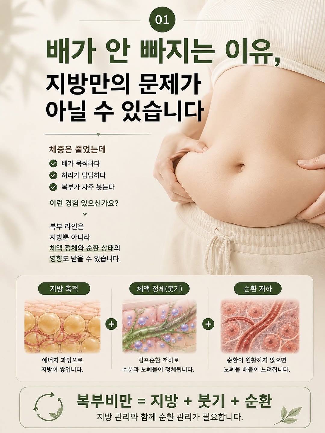 happy_body_jogak 게시물 이미지: 📌배가 안 빠지는 이유, 지방보다 먼저 근막을 확인해보세요.

많은 사람들이 복부...