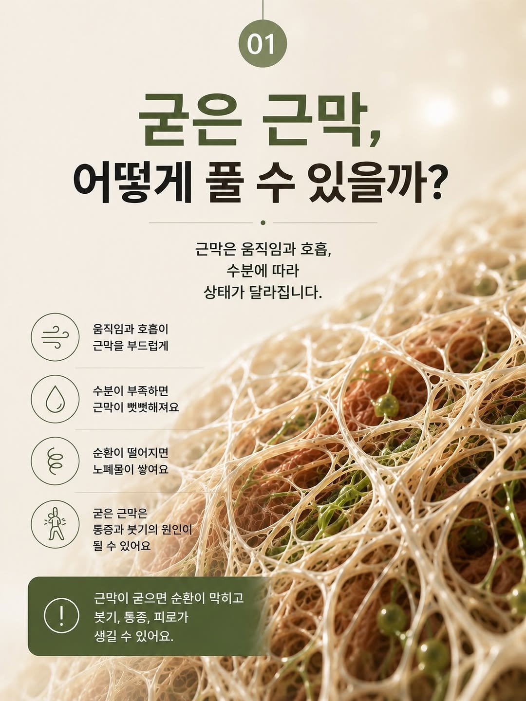 happy_body_jogak 게시물 이미지: 📌근막을 이완하는 생활습관 추천-알람 활용

누구나 모르는 사이에 근막이 굳어 지는...