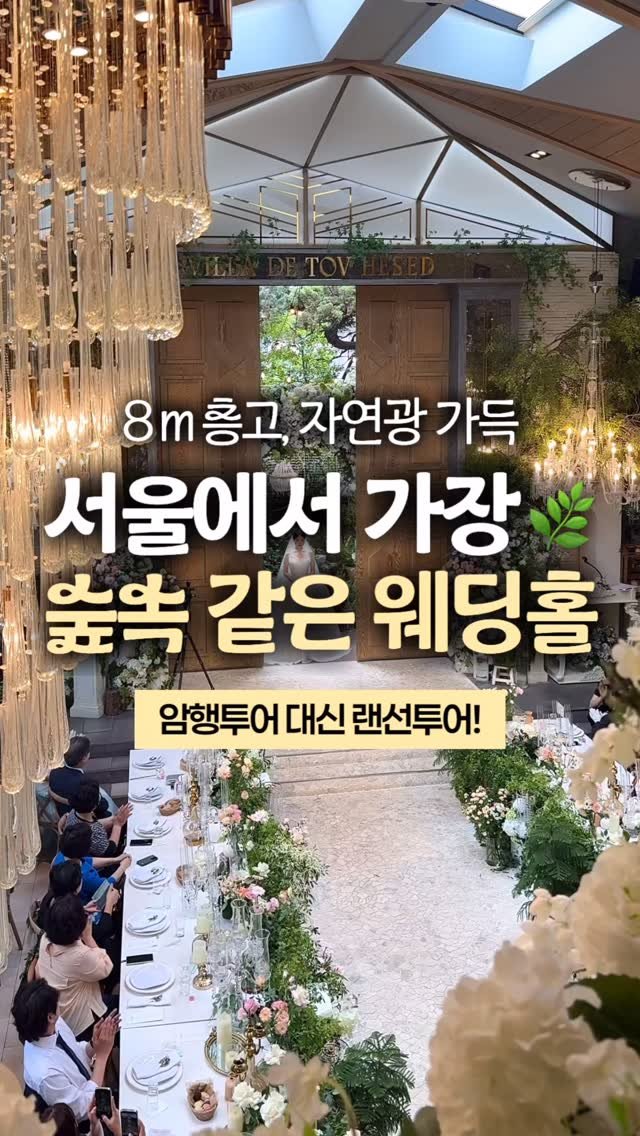 happy_sxmmxr 게시물 이미지: #광고 • 강남 한복판에서 숲속 결혼식이 가능하다고요..?🌿🤍

직접 다녀와보고 왜...