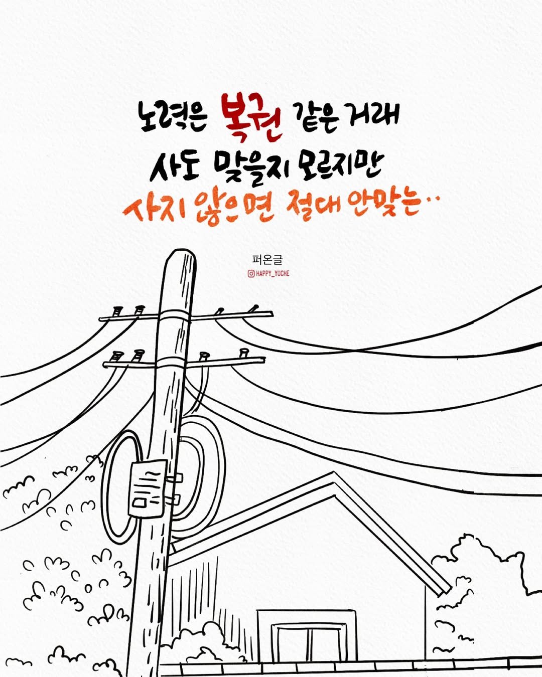 Photo by 유채글씨 on January 02, 2026. May be an illustration of poster and text that says '노력은 복권 같은 પਟ 사도 맞을지 모르지만 사지 않으면 절대 안맞는.. 퍼온글 @HAFPY_YUCHE YUCHE Sc m AILY mn'.