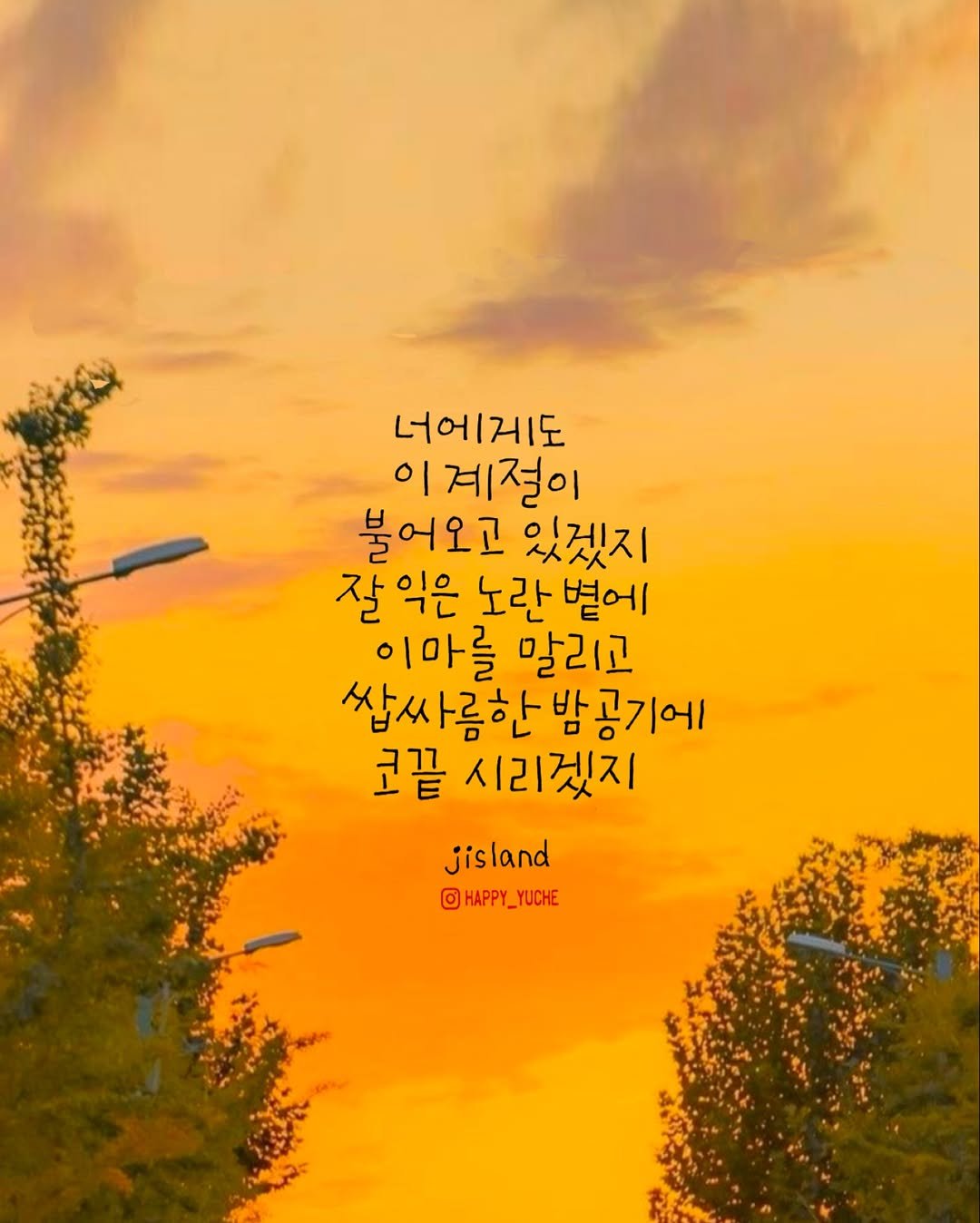 Photo by 유채글씨 on October 02, 2025. May be an image of outdoors and text that says '너에게도 이 |계절이 불어오고 있겠지 잘익은 잘 익은 노란 별에 이마를 말리고 쌀사름한밤공기에 공기에 코끝 시리겠지 jisland @HAPPY_YUCHE'.