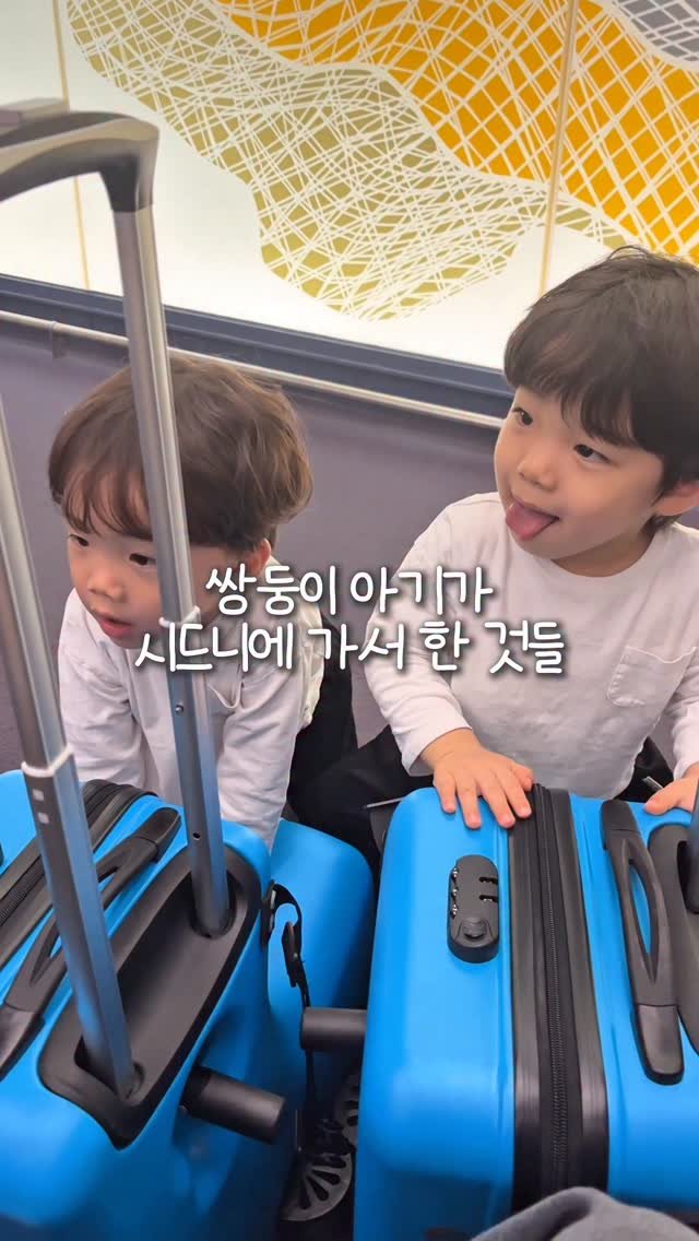 happydana_ 게시물 이미지: 39개월 아들 쌍둥이의 시드니 여행기 요약본🇦🇺 자세한 여행 브이로그는 앞으로...