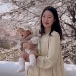 nam_akkom 프로필 사진