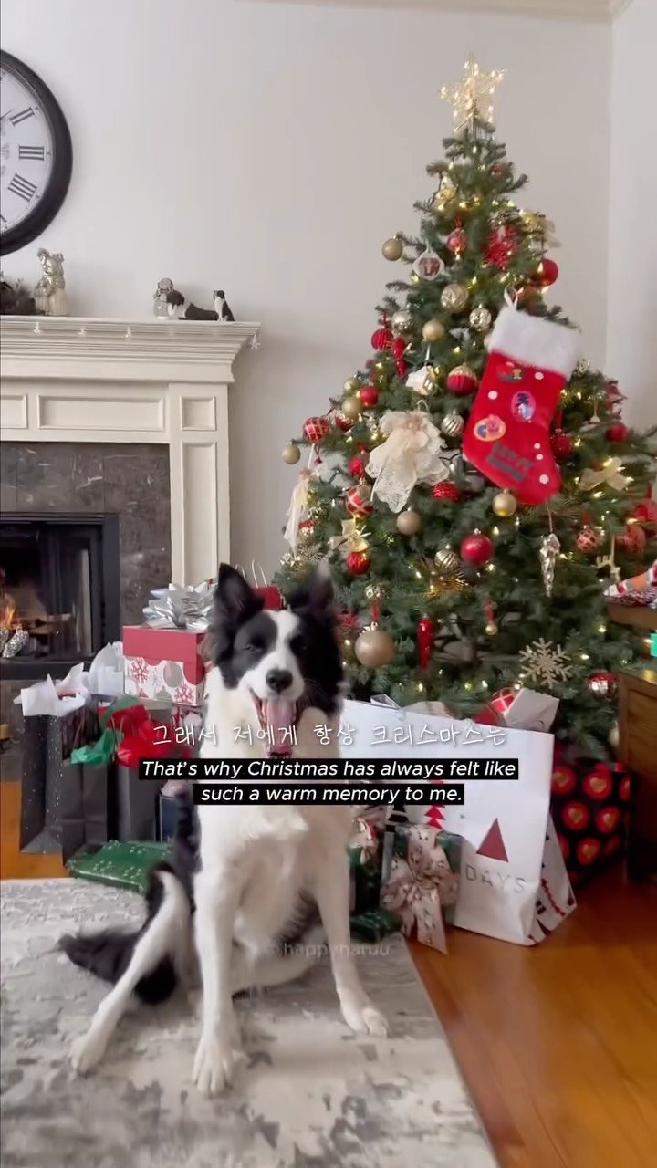 happyharuu 게시물 이미지: Christmas culture is so different between...