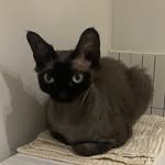 happyrim 인스타그램 프로필 사진