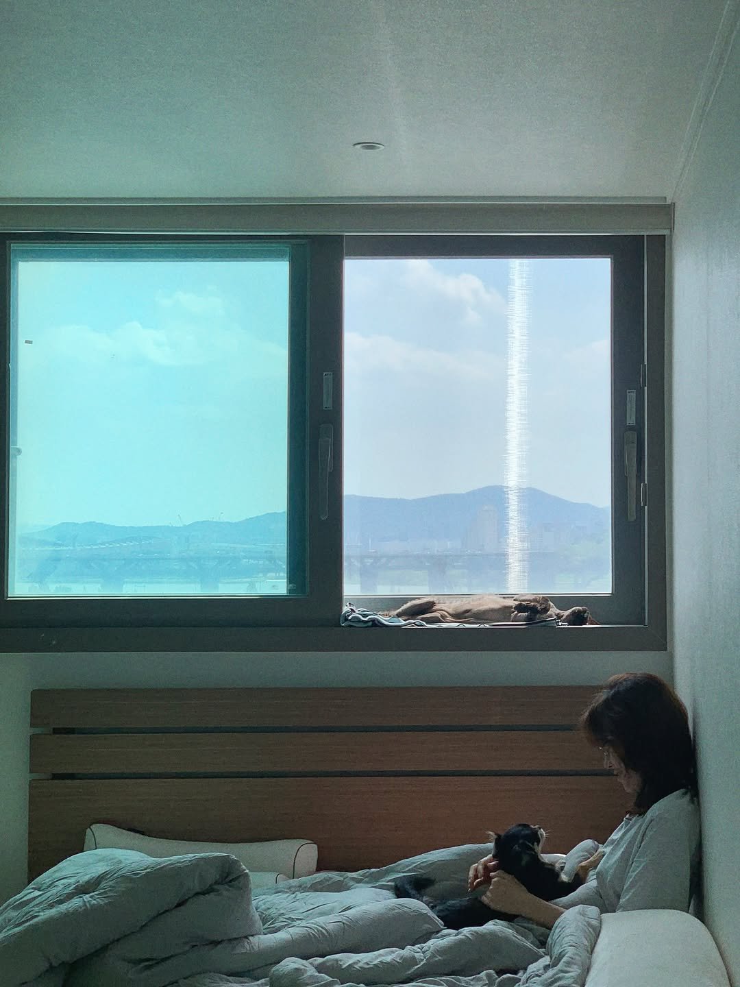 Photo shared by 도비와군밤이 on August 21, 2025 tagging @happyrim. May be an image of 1 person, bedroom, cloud, window and text.