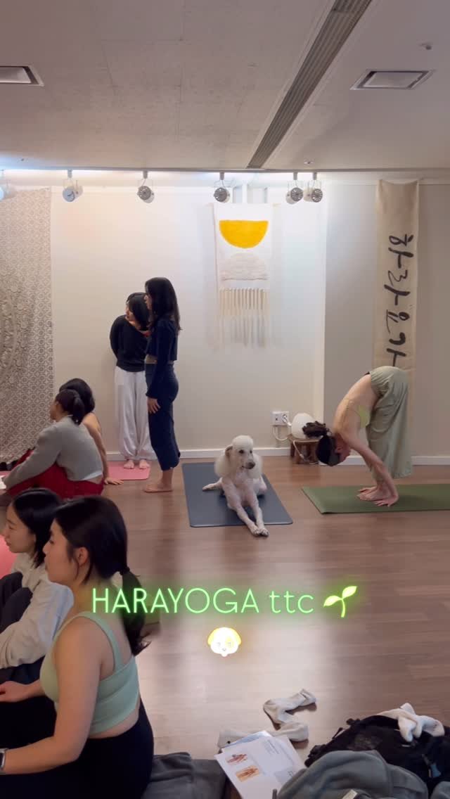 hara__yoga.official 게시물 이미지: TTC 7주차🌼

(머랭🐶몽떼 선생님과 함께) 사랑을...