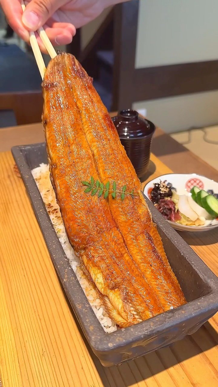 harapeko_jpn 게시물 이미지: 鰻を1匹豪快に盛った鰻重！
店名：地焼うなぎ法善寺山かづ
最寄り駅：なんば駅（大阪府）

大阪...