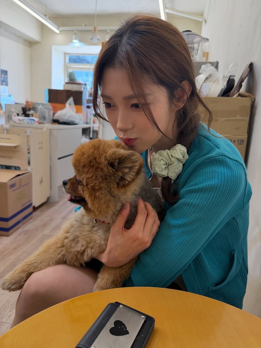 hari_up_97 게시물 이미지: 귀요미 타이슨🐶
@tyson_coffee