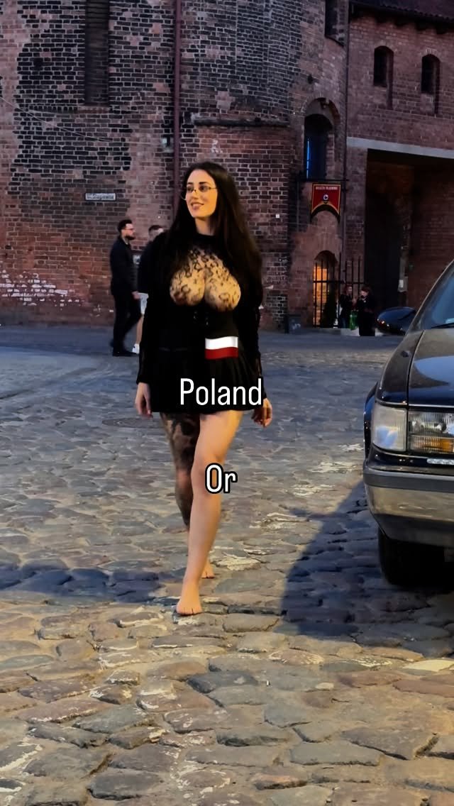 harleybabygirl 게시물 이미지: 🇵🇱 or 🇩🇪? #fyp #visitgermany #explorepage...