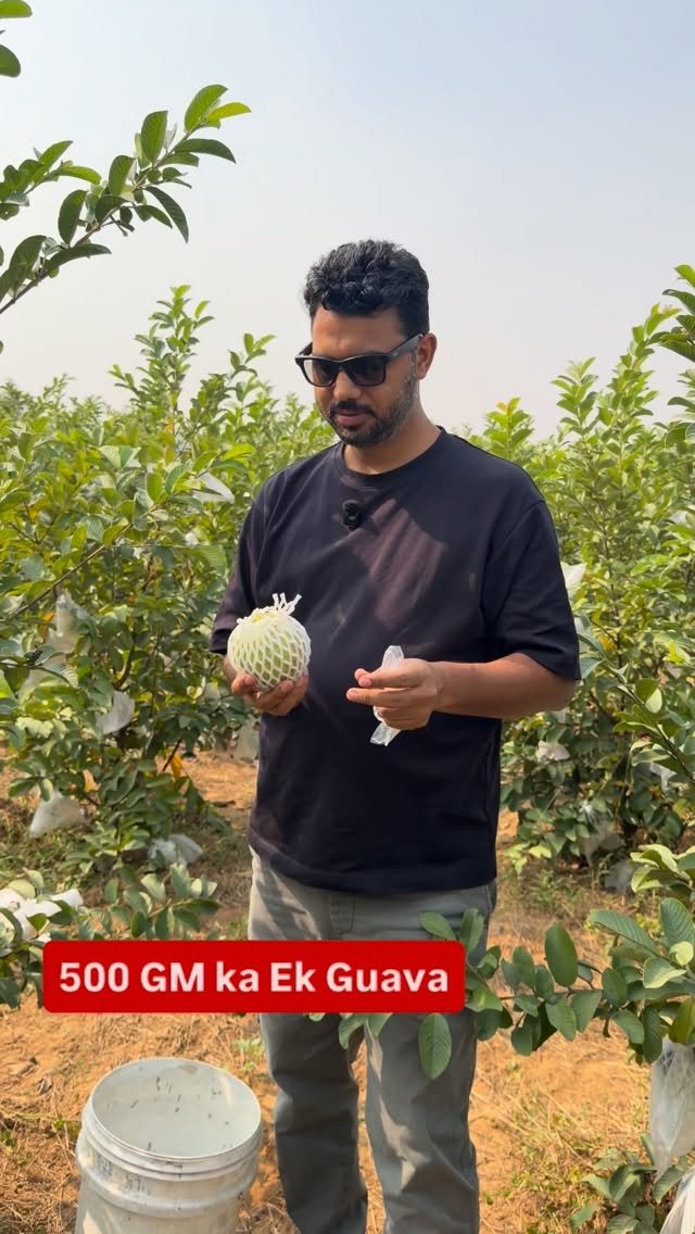 haryana_gaurav 게시물 이미지: Bade wale bhi taste mein achhe hain 😍 #Farming