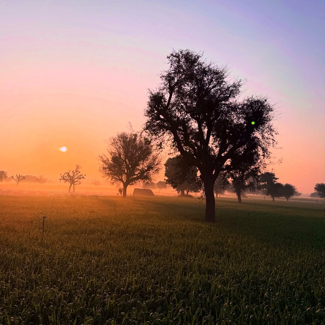 Photo by Gaurav Yadav on August 06, 2025. May be an image of nature, twilight, fog and text.
