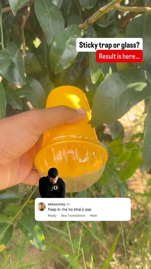 haryana_gaurav 게시물 이미지: Fruit fly trap ka Result is out 🤘 - ख़ुद देख...