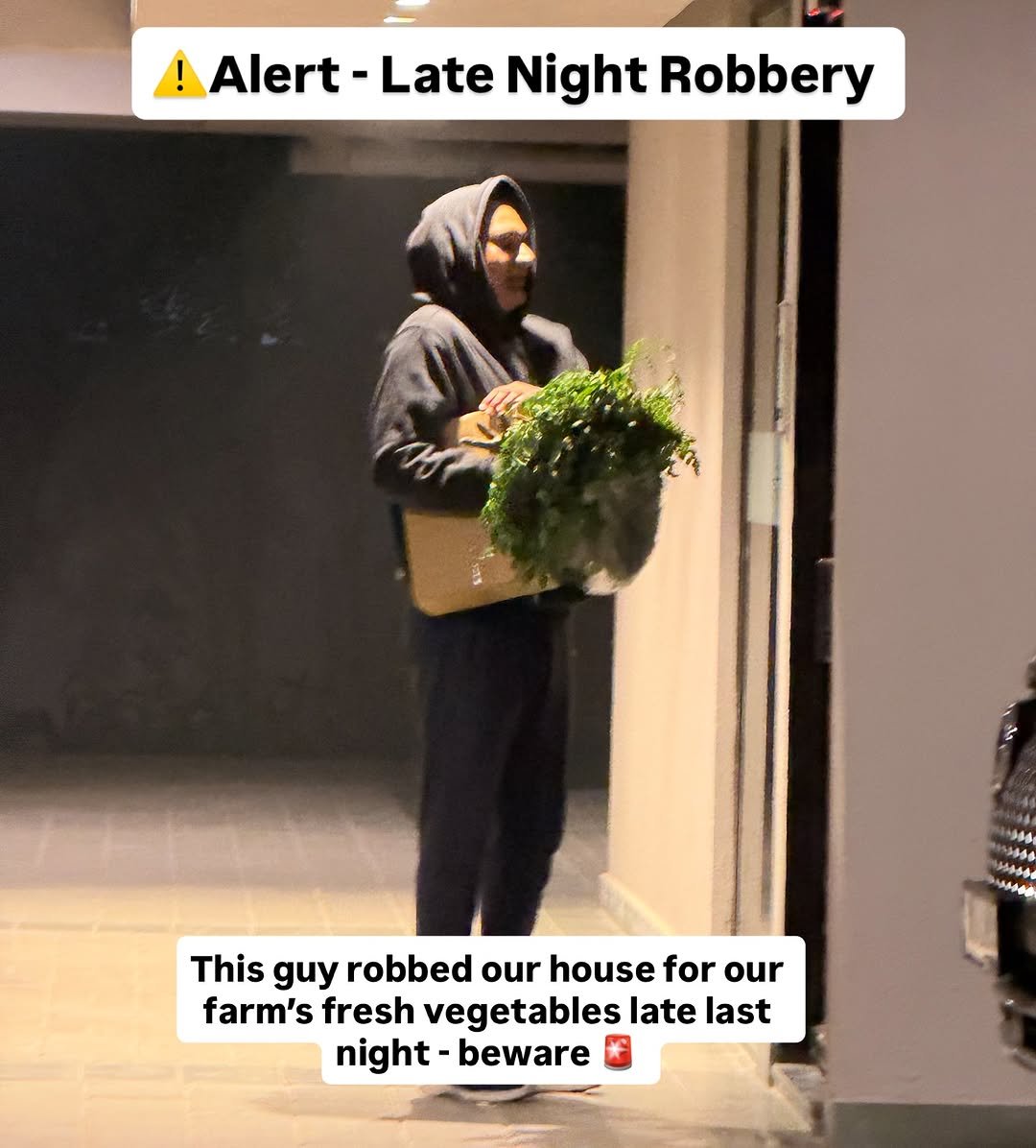 Photo by Gaurav Yadav in Gurugram. May be an image of standing, night and text that says '! Alert Late Night Robbery This guy robbed our house hisguyrobbedourhouseforour for our farm's fresh vegetables late last night-beware night- beware'.