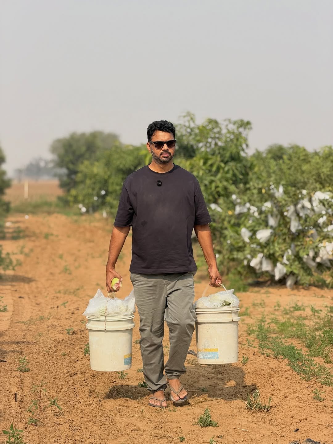 Photo by Gaurav Yadav on November 13, 2025. May be an image of plant and text.