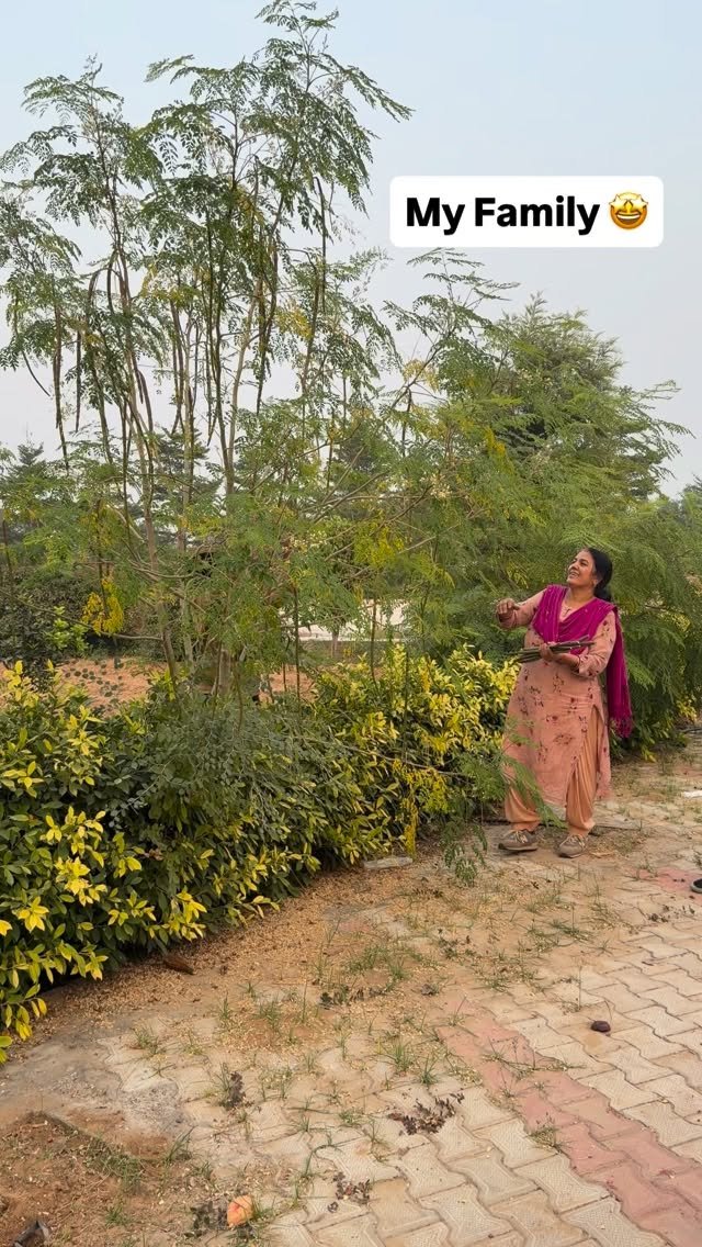 haryana_gaurav 게시물 이미지: Ye chalta rehta hai 😂😂 #Farming #Farmhouse #drumstick