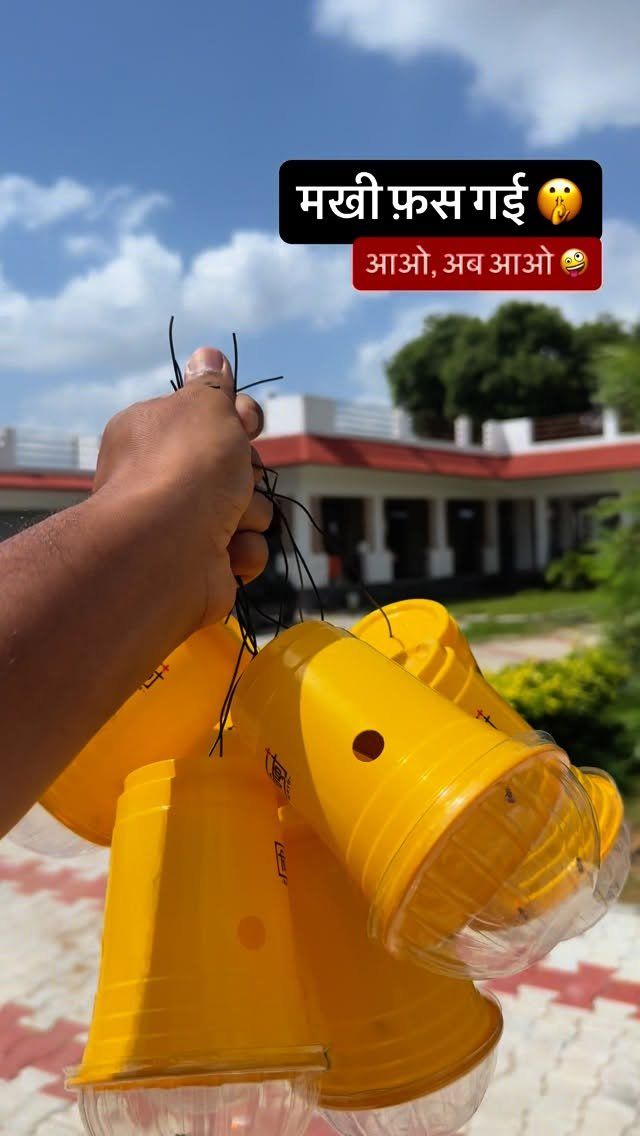 haryana_gaurav 게시물 이미지: अब आओ जूस पीने मक्खियों 😅 #farming